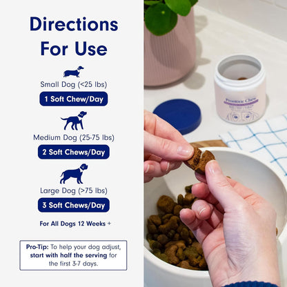 Dog Probiotics for Gut Health 30 Soft Chews Pork Flavor Digestive Support