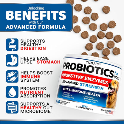 Probiotics for Dogs with Digestive Enzymes for Gut Health & Stomach Relief
