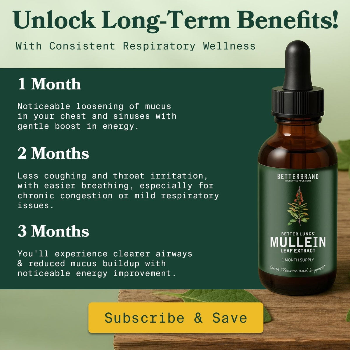 Betterbrand Mullein & Chlorophyll Drops for Lung Detox & Respiratory Support