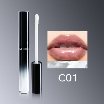 Lip Gloss Semi-Matte Long-lasting Velvet moisturizing lipgloss plump Cosmetics
