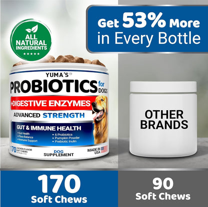 Probiotics for Dogs with Digestive Enzymes for Gut Health & Stomach Relief