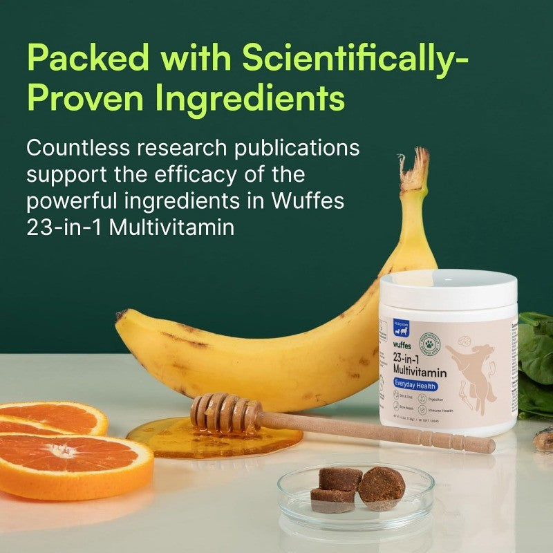 Multivitamin Soft Chews for Joint, Skin & Immune Health with Omega 3