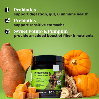 Dog Probiotics for Gut Health Pumpkin Flavor Chews Supports Skin Ear Health