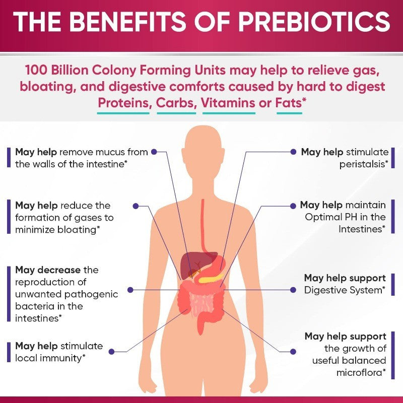 Probiotics for Women with Prebiotics and Digestive Enzymes Gut Health Support