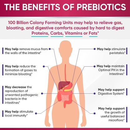 Probiotics for Women with Prebiotics and Digestive Enzymes Gut Health Support