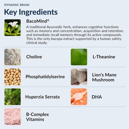 Brain Health Supplement with Nootropic Herbs for Memory and Cognitive Function