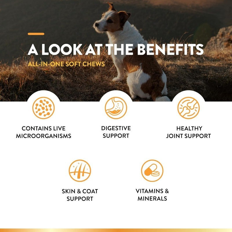 All-in-One Dog Multivitamin for Joint, Digestion, Skin & Coat Health