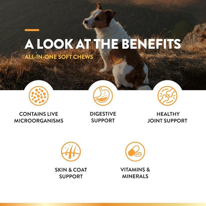 All-in-One Dog Multivitamin for Joint, Digestion, Skin & Coat Health