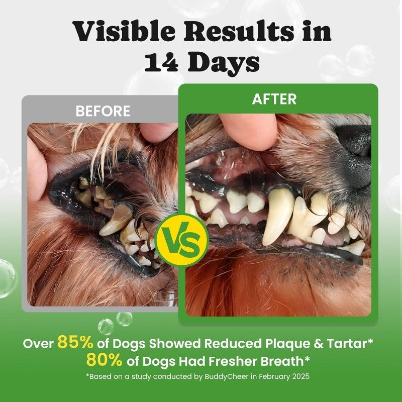 Dog Dental Care Powder for Fresh Breath & Plaque Control with Enzymes, Mint