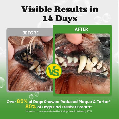 Dog Dental Care Powder for Fresh Breath & Plaque Control with Enzymes, Mint