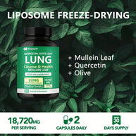 Sinpuyle Lung Cleanse & Respiratory Support Supplement-1 Bottle 90 Capsules