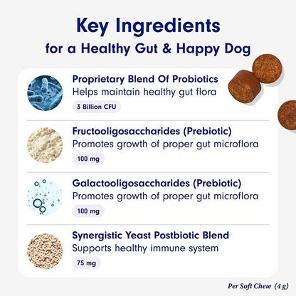 Dog Probiotics for Gut Health 30 Soft Chews Pork Flavor Digestive Support