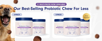 Dog Probiotics for Gut Health 30 Soft Chews Pork Flavor Digestive Support