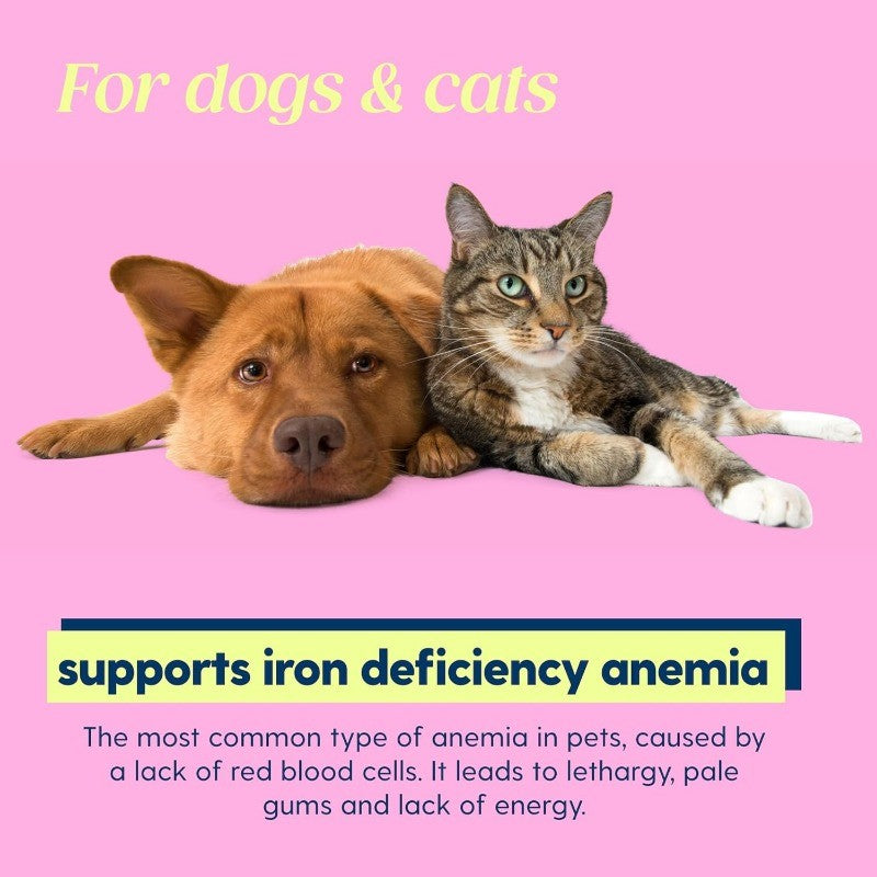 Liquid Iron Supplement for Dogs & Cats to Support Energy & Vitality