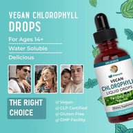 Sinpuyle Vegan Chlorophyll Liquid Drops,Peppermint Flavored,1Bottle 2fl oz 60ml