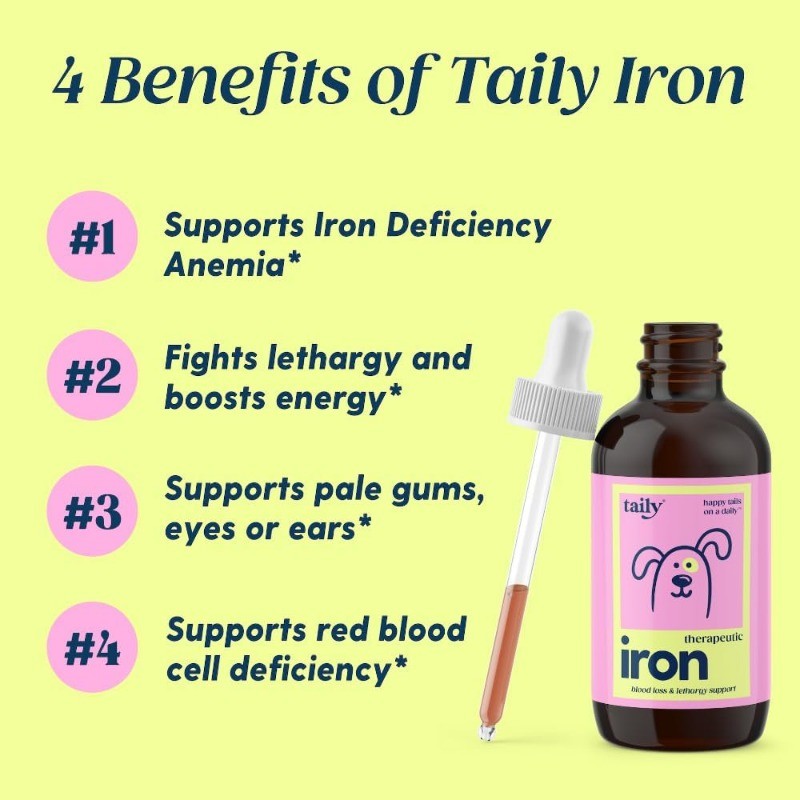 Liquid Iron Supplement for Dogs & Cats to Support Energy & Vitality
