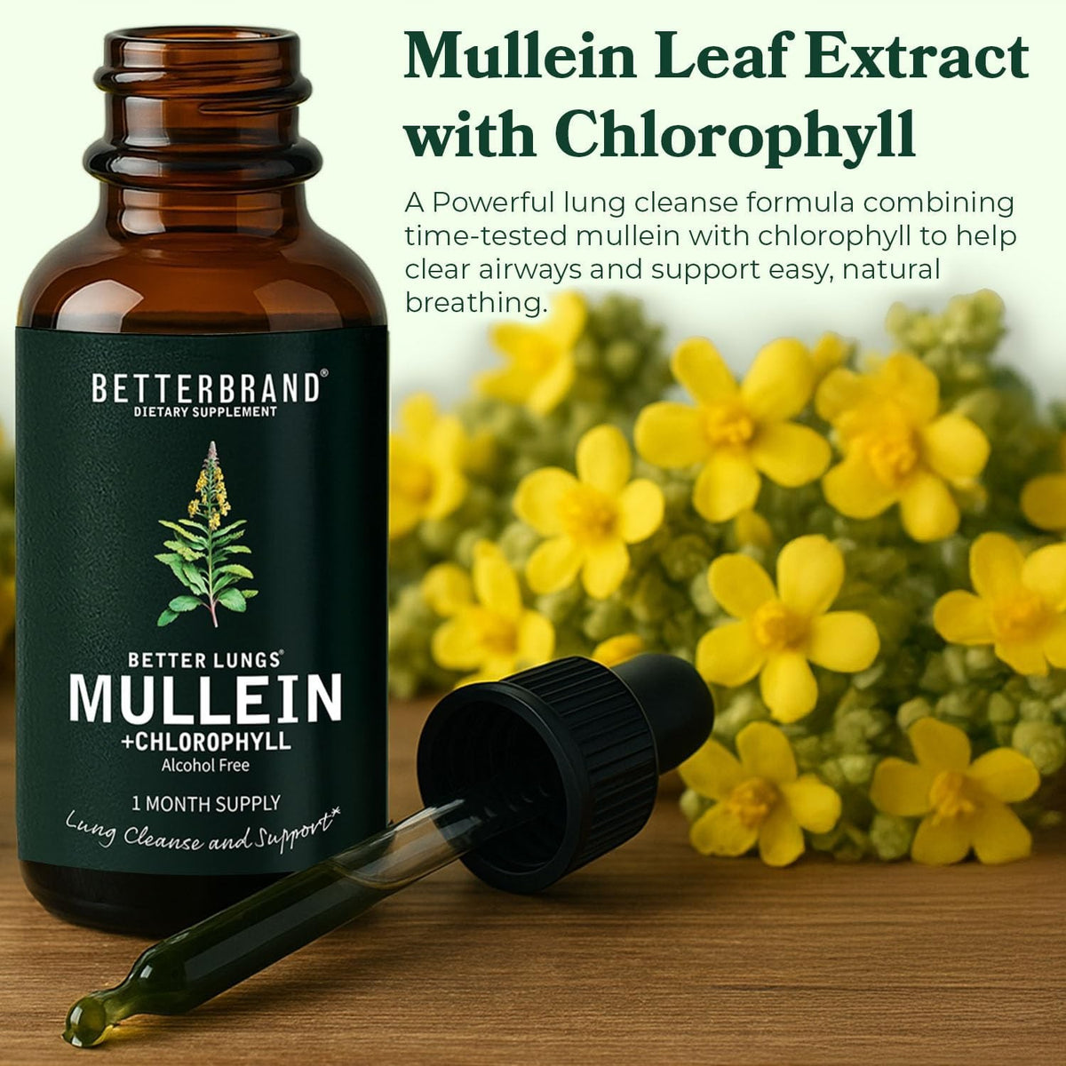 Betterbrand Mullein & Chlorophyll Drops for Lung Detox & Respiratory Support