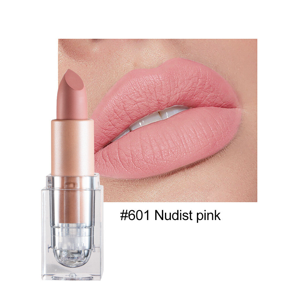 12color Matte Lipstick Crystal Square Nude Red Lip Gloss Makeup for Women Velvet