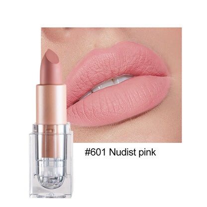 12color Matte Lipstick Crystal Square Nude Red Lip Gloss Makeup for Women Velvet