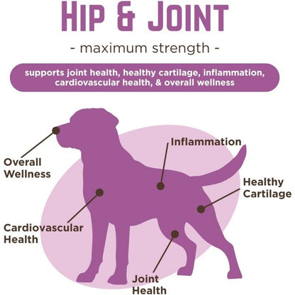 Dog Hip & Joint Chews with Glucosamine, Chondroitin & Turmeric, Peanut Butter