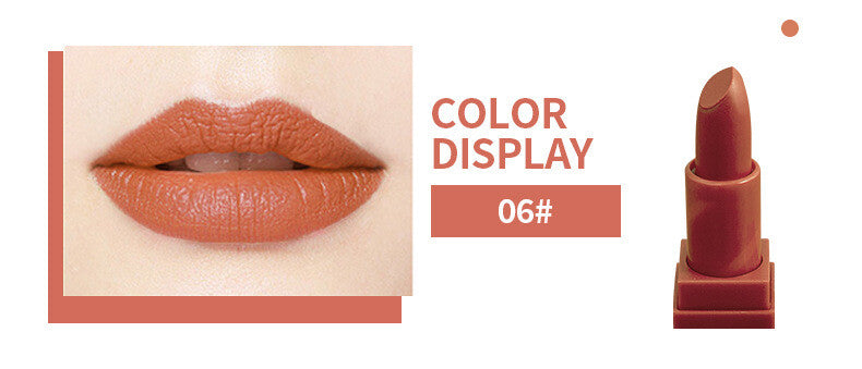 Matte Liquid Lipstick 💋 Moisturizing & Non-Stick 🌸 Smudge Proof & Long Lasting