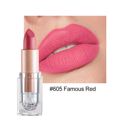 12color Matte Lipstick Crystal Square Nude Red Lip Gloss Makeup for Women Velvet