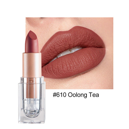 12color Matte Lipstick Crystal Square Nude Red Lip Gloss Makeup for Women Velvet