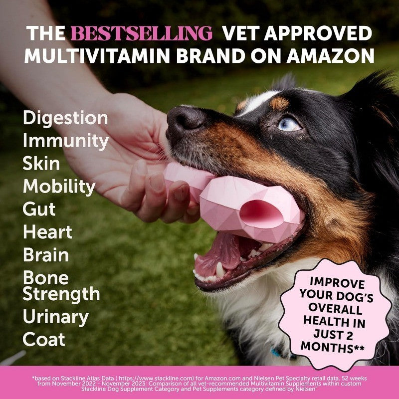Multivitamin for Dogs with Glucosamine, Probiotics & Omega, Skin & Coat Support