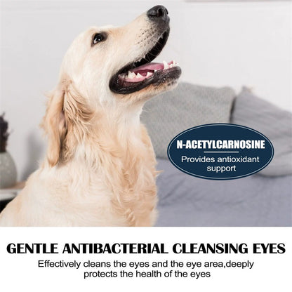 Broad-Spectrum Pet Eye Drops Treats Bacterial Viral Fungal Infections for Dogs