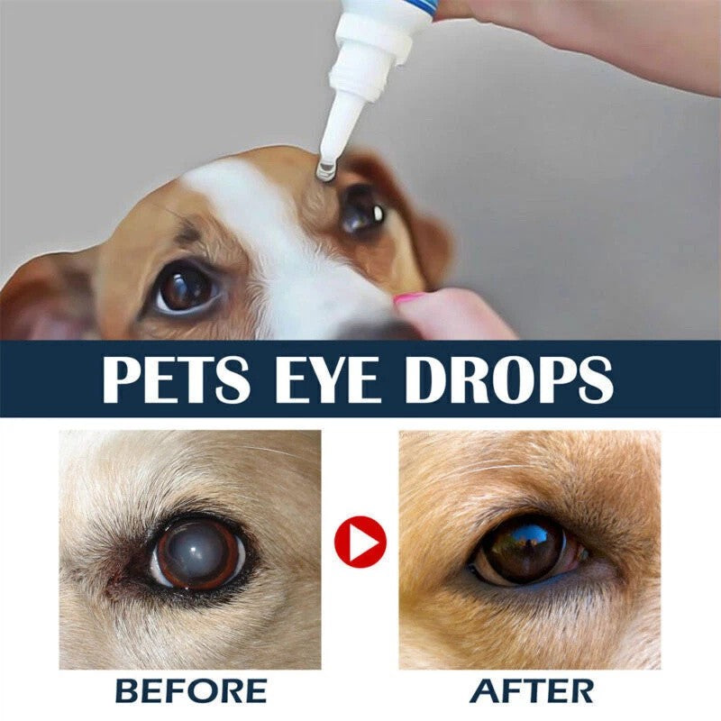 Eye Drops for Pets Bacterial,Viral and Fungal & Infections Dog Cat Treatment US