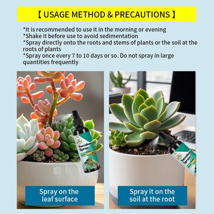 3Pack Succulent Cactus Fertilizer Sprout Booster Slow Release Spray for Growth
