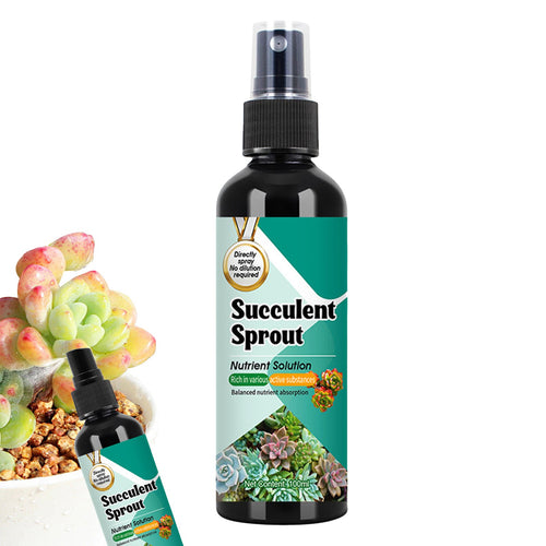 3Pack Succulent Cactus Fertilizer Sprout Booster Slow Release Spray for Growth