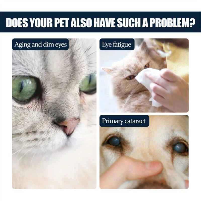 Broad-Spectrum Pet Eye Drops Treats Bacterial Viral Fungal Infections for Dogs