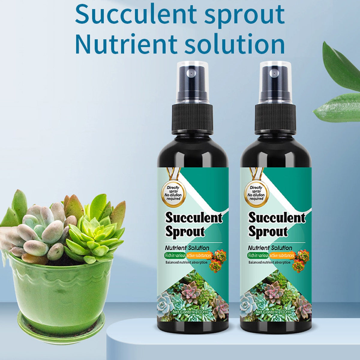 3Pack Succulent Cactus Fertilizer Sprout Booster Slow Release Spray for Growth