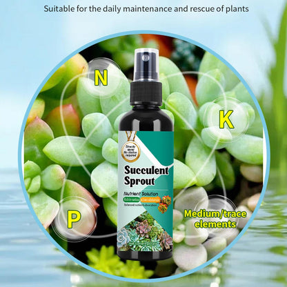 3Pack Succulent Cactus Fertilizer Sprout Booster Slow Release Spray for Growth