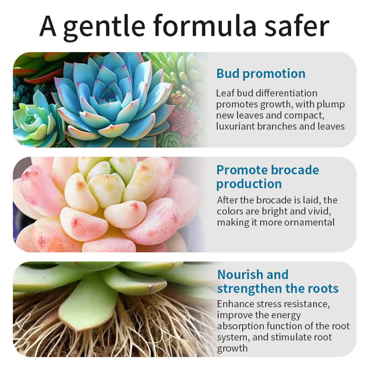 3Pack Succulent Cactus Fertilizer Sprout Booster Slow Release Spray for Growth