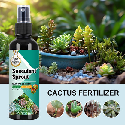 3Pack Succulent Cactus Fertilizer Sprout Booster Slow Release Spray for Growth